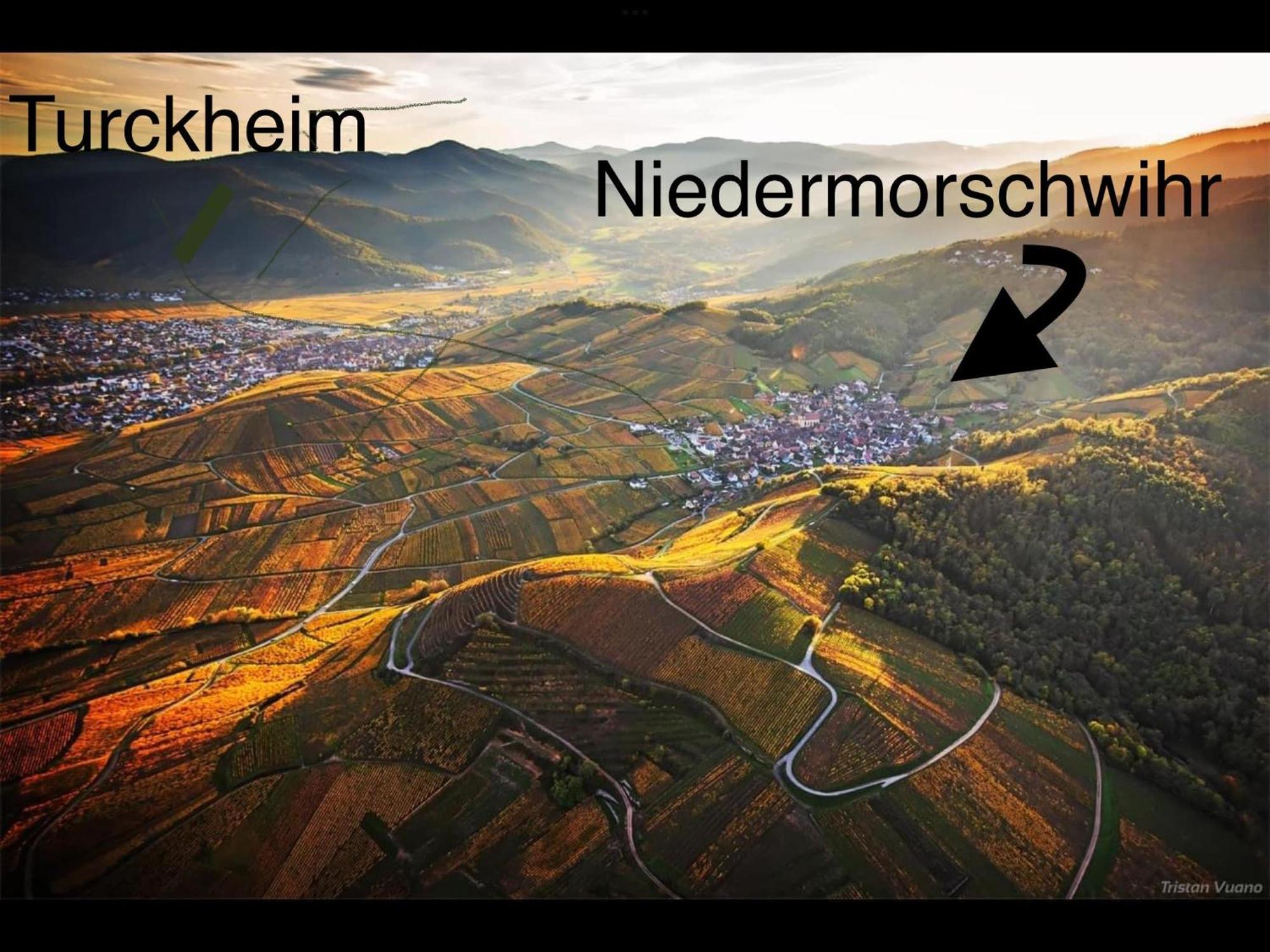 Caveau 1751 Niedermorschwihr المظهر الخارجي الصورة